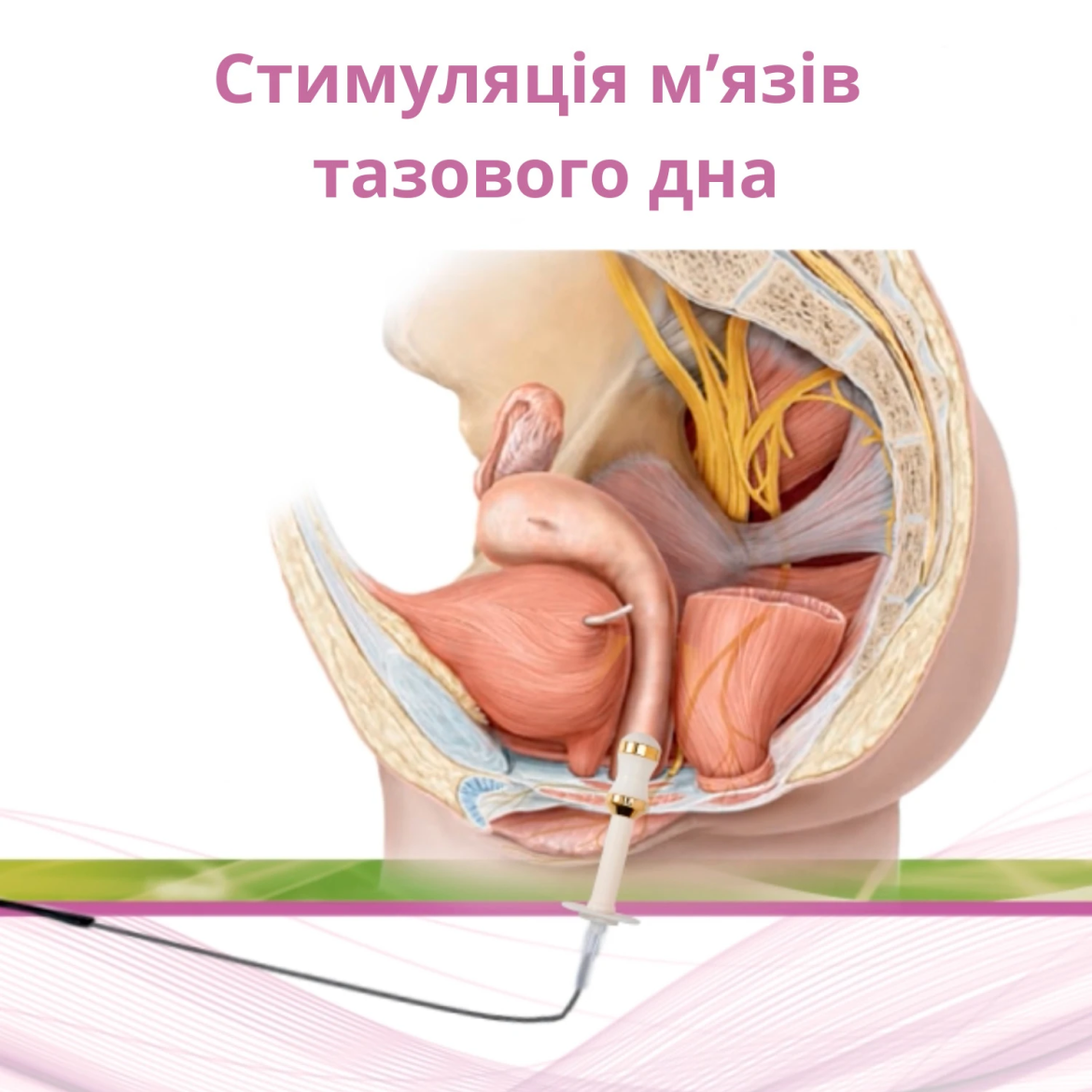 Тренажери м'язів тазового дна